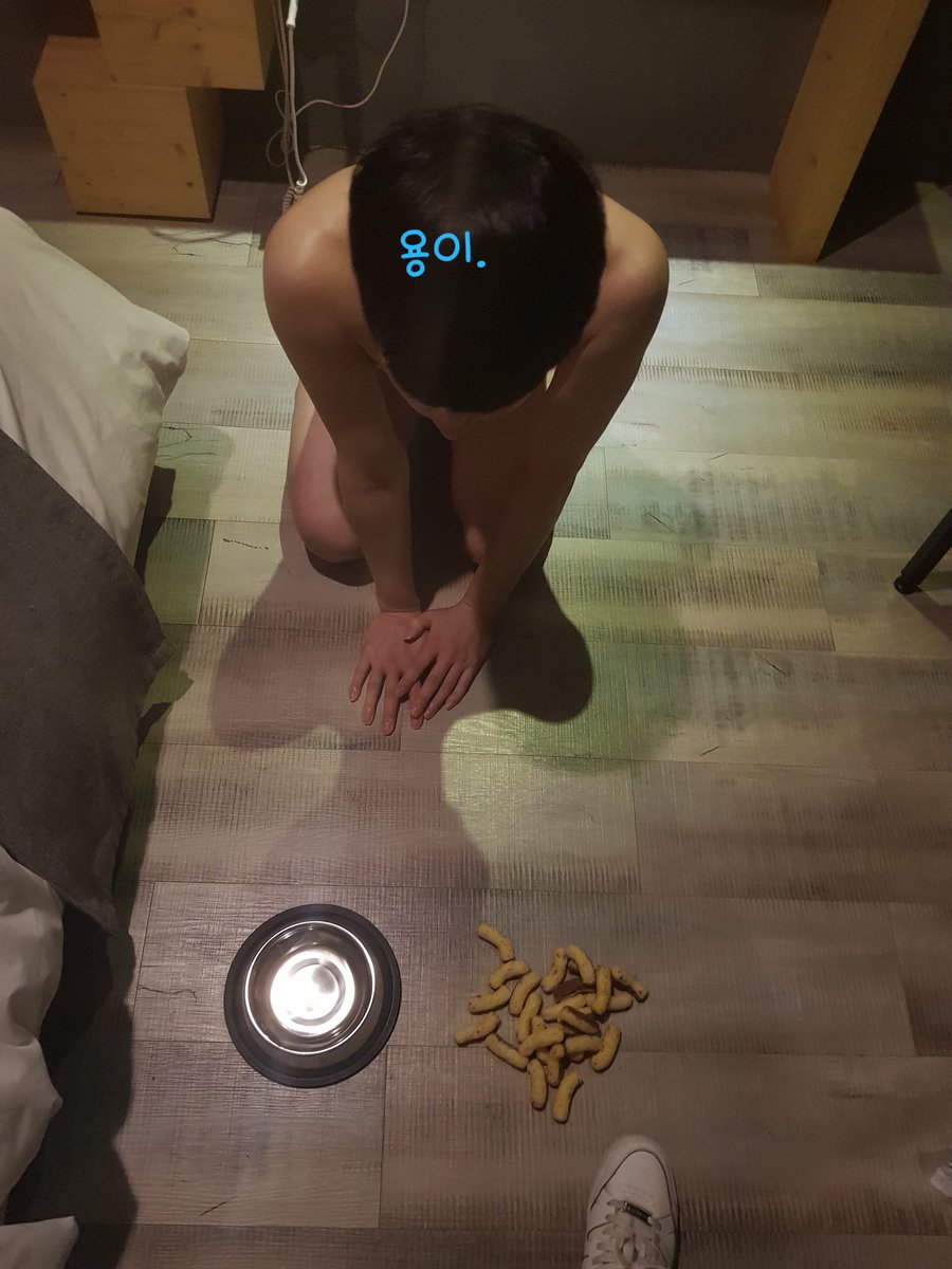 골든과 함께한 간식 타임.
이것도 반응 괜찮으면 영상 올려볼께요.