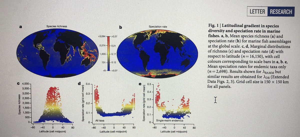 Las zonas tropicales tienen la mayor diversidad (c) PERO son los polos los que producen mayor tasa de especiación (d y e)
Antártica tiene un rol clave en la generación de biodiversidad para todo el 🌍!
researchgate.net/publication/32…
<a href="/inach_gob/">INACH</a> 
<a href="/min_ciencia/">Ministerio de Ciencia</a> 
<a href="/Minrel_Chile/">Cancillería Chile 🇨🇱</a> 
<a href="/AndreaObaid/">Andrea Obaid</a>