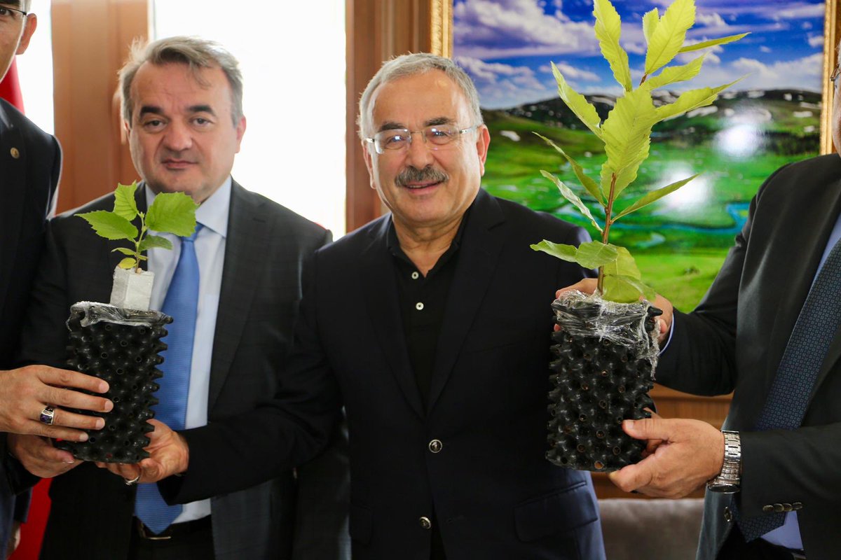 Mehmet Hilmi Güler