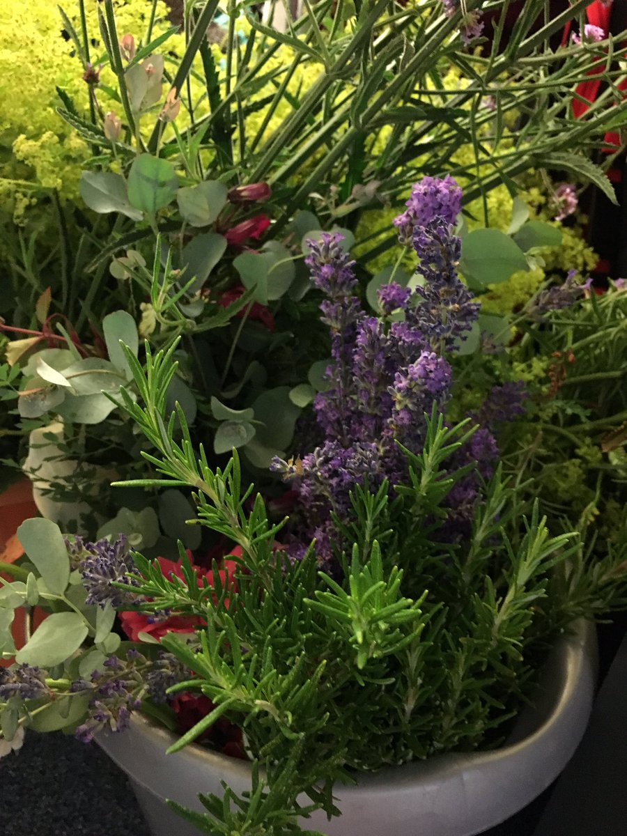 About to head out and start flower arranging - can’t wait to see how these gorgeous blooms turn out today 😍 #StaffPartyUoS