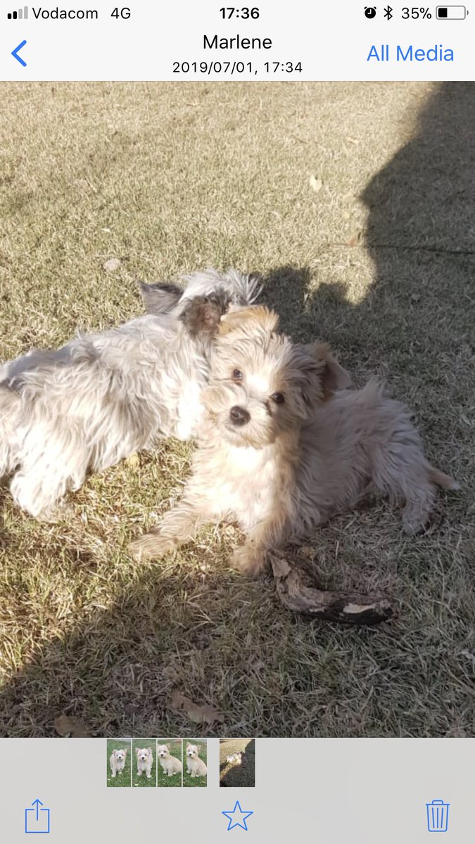 SeeYouNowNow tweet media