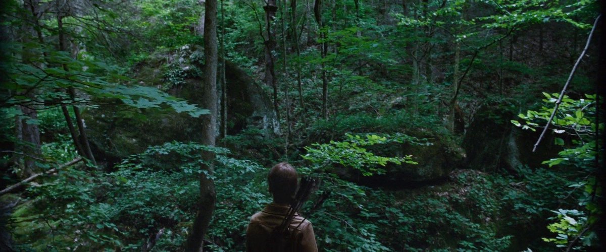The Hunger Games (2012) Image: Lionsgate Films