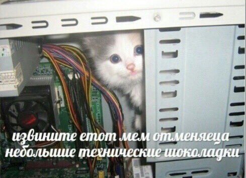 D-j-QX_WsAAqbFM?format=jpg&name=small