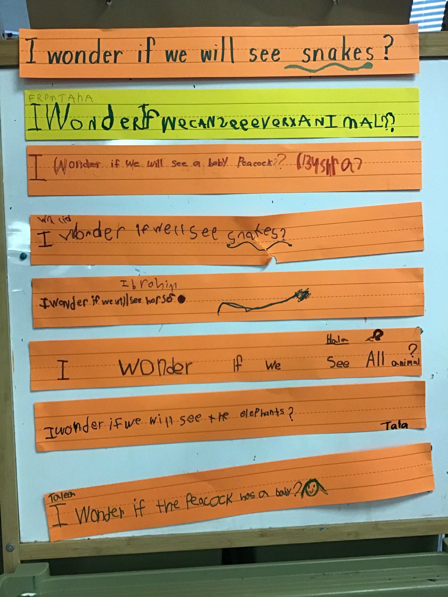 These Sk/1’s are preparing for an exciting trip to Greenview Aviaries tomorrow! <a href="/ELLtvdsb/">TVDSB ESL/ELD K-12</a> #newcomersummerschool <a href="/EagleHeightsPS/">Eagle Heights PS</a>