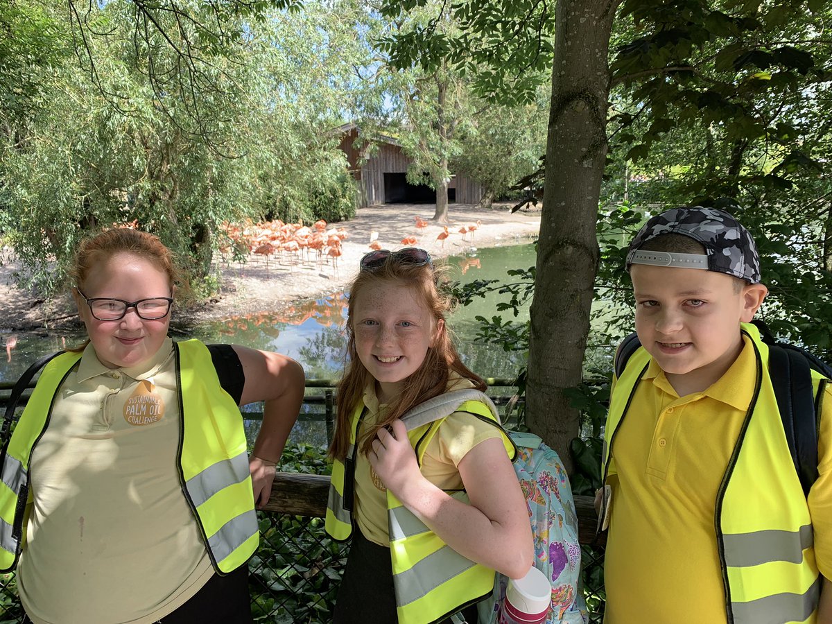 ButtonLane_'s tweet photo. #Class5CE learnt so much today at the zoo #firsttimeatthezoo for many! @LearnatCZ https://t.co/za25Evzme4