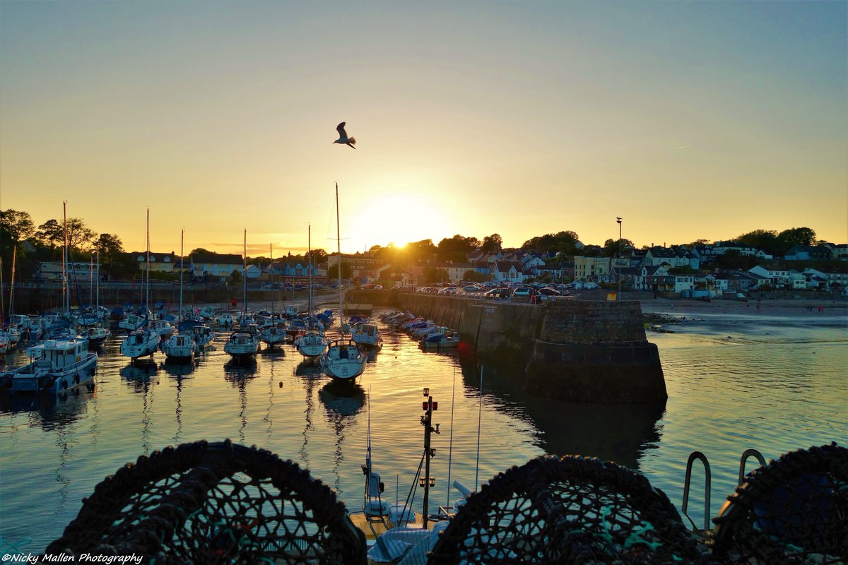 All is calm at #sundown and a lonesome #seagull honing his #aeronautical skills over #Saundersfoot #Harbour. <a href="/ThePhotoHour/">#ThePhotoHour</a> <a href="/StormHour/">#StormHour</a> <a href="/ItsYourWales/">It's Your Wales</a> #Pembrokeshire #FindYourEpic #Wales #seaside #WednesdayWisdom