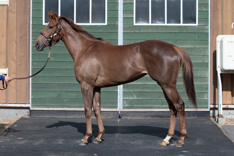 keitty♡ tweet media