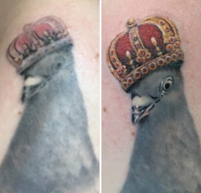 Seagull and Pigeon Tattoos - Best Tattoo Ideas Gallery
