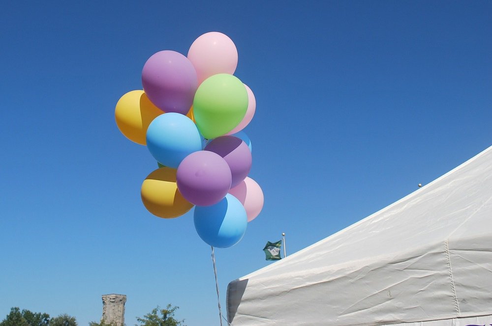 SFCS_adoption's tweet photo. We're looking for local businesses who'd like a STALL at our Summer Fete in #MiltonKeynes on 27th July. 😊 Also a FACE PAINTER and perhaps someone who can make BALLOON ANIMALS. Please RT or tag anyone who may be interested, or email fundraising@sfcs.org.uk to find out more. 😊 https://t.co/hXLqDwxCHx
