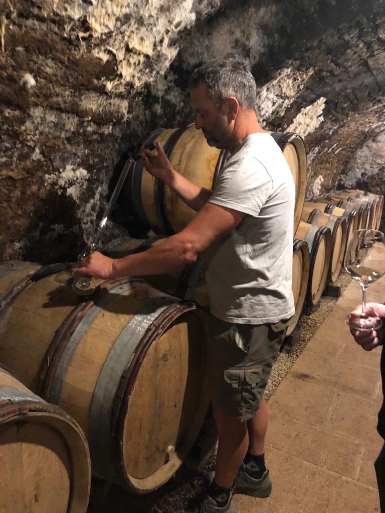 MalauvaVigo's tweet photo. #henrigermain #meursault #malauva https://t.co/Vu4Ty1po0G