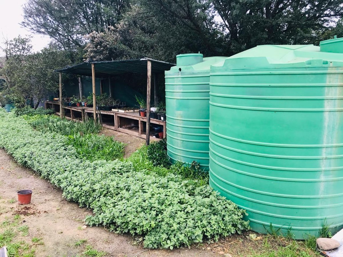 uwcgci's tweet image. They use the Worm based systems which include a filter bed that contains worms and microorganisms that compost sewage. This produces a more stable and less offensive smelling product.
#GCC2019 #4IR4Africa
