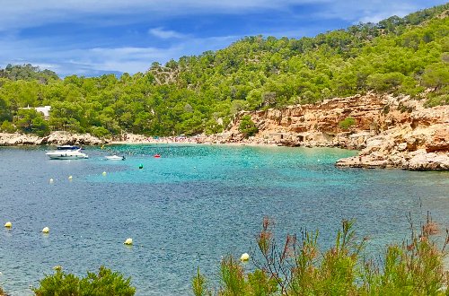 celestedlabanda's tweet photo. Dónde comer, alojarte y disfrutar en uno de los destinos más famosos del mundo, ¡Ibiza! > https://t.co/RYKo4WKmwO
#Ibiza #lospasajerosibiza #canpilot #balafia #lapalomaibiza #nagaiibiza @EsTorrentIbiza #EsXarco #fishshackibiza @bambuddhaibiza #elbigotesibiza #Elssillotdesrencli https://t.co/67pXIMdABT