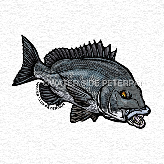 チヌのtwitterイラスト検索結果 古い順 チヌのtwitterイラスト検索結果 古い順
