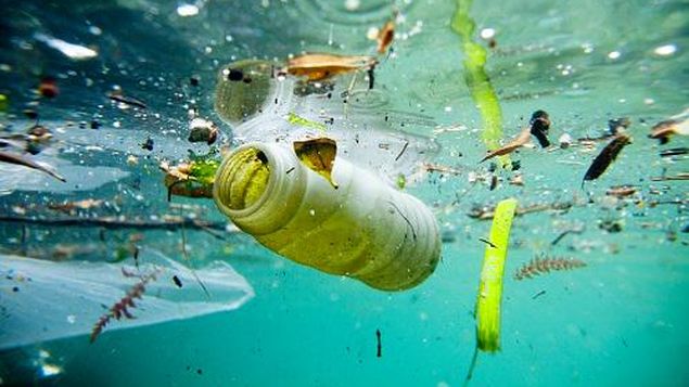 El uso excesivo de plásticos desechables contamina nuestros océanos🌊, daña la vida marina 🐟🐬🐋🐢 y amenaza la salud humana. 

¡Es sencillo ♻! cuando vayas a la playa llévate tu basura.

Hagamos entre todos un planeta 🌍 #SinContaminación de plásticos.