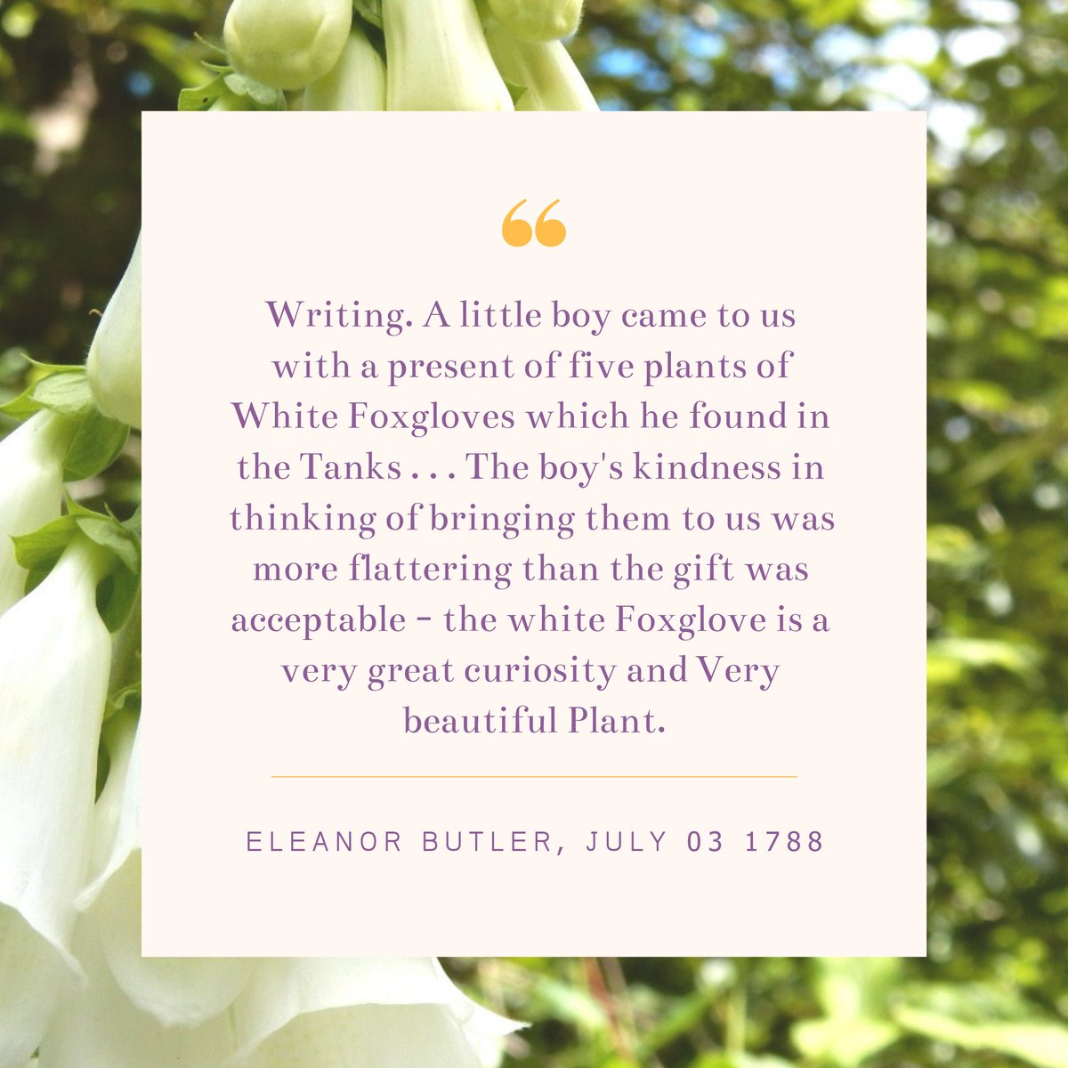 A day in the life of the Ladies. 
Journal entry from Eleanor Butler, Thursday 03 July 1788.
 ~
Diwrnod ym mywyd y Merched. 
Cofnod o ddyddlyfr Eleanor Butler, Dydd Iau 03 Gorffennaf 1788.