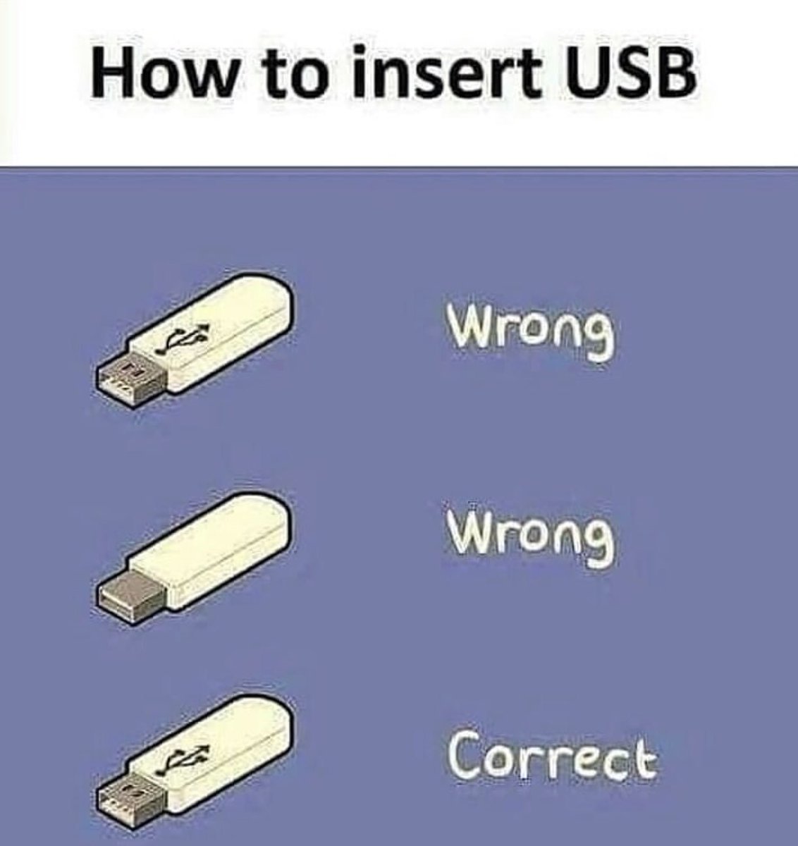 Madame Sandler (@bentleyaudrey) on Twitter photo 