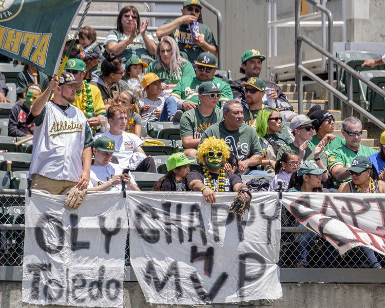 Rob Speciale tweet media