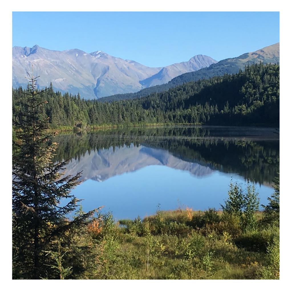 Cool down in Alaska! Camp out and enjoy the beautiful scenery all day.
#alaska #alaskaphotography #alaskan #travelalaska #alaskaadventure #lovealaska #alaskaadventures #alaskasummer #onlyinalaska #hikealaska #alaskaliving #naturealaska #sharingalaska