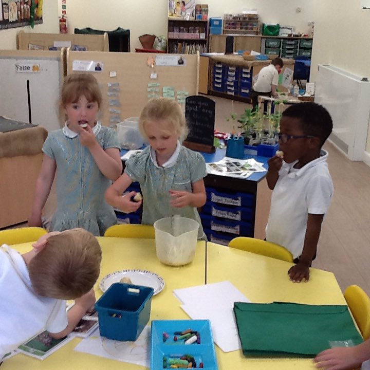 StAidansRecpt's tweet photo. We grew our own potatoes and enjoyed eating them. They were delicious! https://t.co/KcPVIZ0ZYD