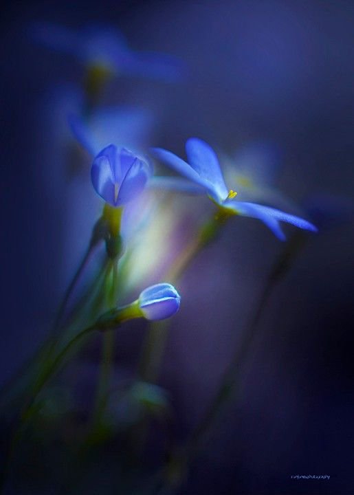 많이 아프구나
토닥토닥
조금 지나면 괜찮아질거야...

많이 힘들구나
쓰담쓰담
조금 버티면 좋아질거야...

많이 어렵구나
다독 다독
조금 참아내면 잘 풀릴거야...

여린 마음으로
만만치 않은 세상 살이 살아가느라
고생이 많지..

하지만 힘을 내보렴
태양은 한쪽만 비춰주는게 아니니까...