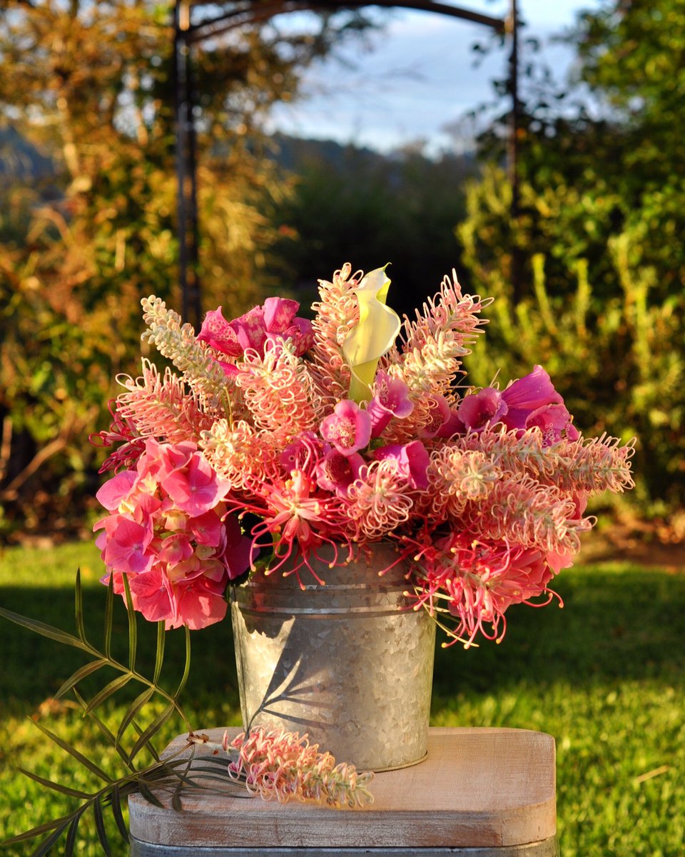 DianaR_Resendiz's tweet photo. Fresh from the garden 🌷🌸🌷 #WellnessWednesday #farrm #fresh #flowers #protea #grevillea #treatyourself https://t.co/dBgOxpkytr