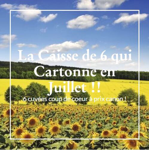 Ma que calor !! La Caisse de 6 qui Cartonne en Juillet est de sortie, pour vous rafraîchir le palais avec une jolie sélection de #vinnaturels de France et de Navarre.
5€ de remise avec le code "juillet" => buvez avec modération mais partagez sans modération 😜 #vinvivant