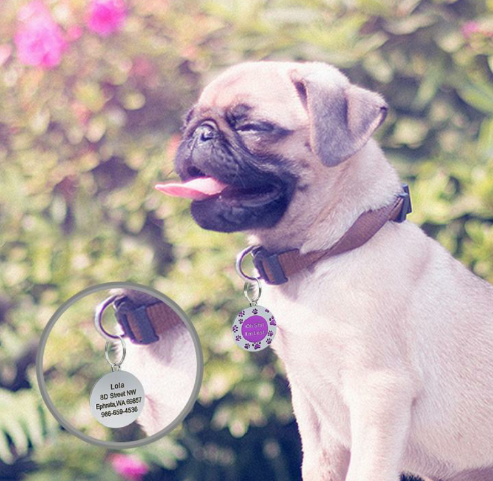 JoJosWorldStore's tweet photo. Hilarious  'Oh S*@t I'm Lost' Rounded Dog ID Tag🐾

Available at: https://t.co/sMGdsxMocY
_______
#trustedseller #dogshopping #idtags #dogshop #trustedseller💯 #dogtags #freeshippingworldwide #TeamJoJosWorld https://t.co/zvvCy106Oz