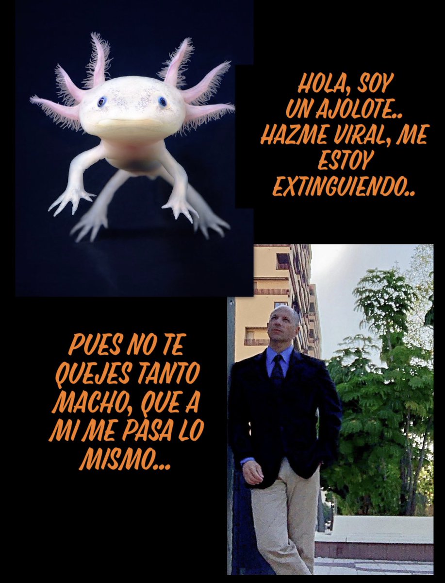 All4padel's tweet photo. Me temo que algunos estamos en vías de extinción...
C’est la vie...🤷🏻‍♂️😂😂

#hombre #instagramers #picoftheday #deporte #sport #fit #fitnes #elegance #corbata #traje #look #vida #humor #extincion #enviasdeextincion #risas #quejarsedevicio #foto #miercoles #verano https://t.co/dssxjrwZ6Z
