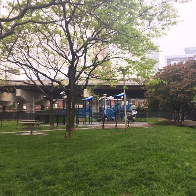 Every Park tweet media