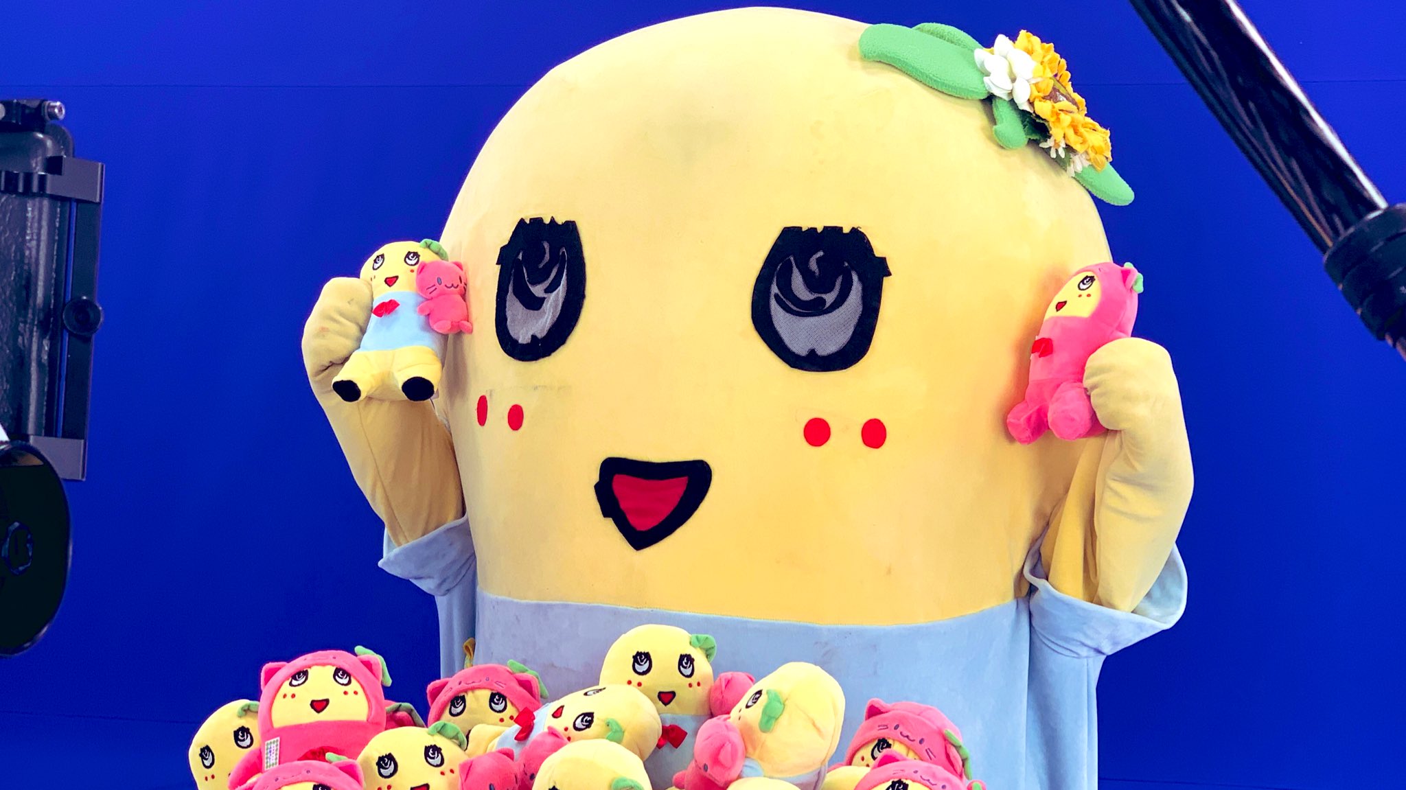 ふなっしー みんなー今日も一日お疲れ様なっしー ヾ ノ今日はオンラインクレーンゲームアプリ トレバ のtvcm撮影だったなっしー 8月1日からオンエア予定なっしー ふなっしーとトレバのコラボぬいぐるみがゲット 景品 できるなっしよー
