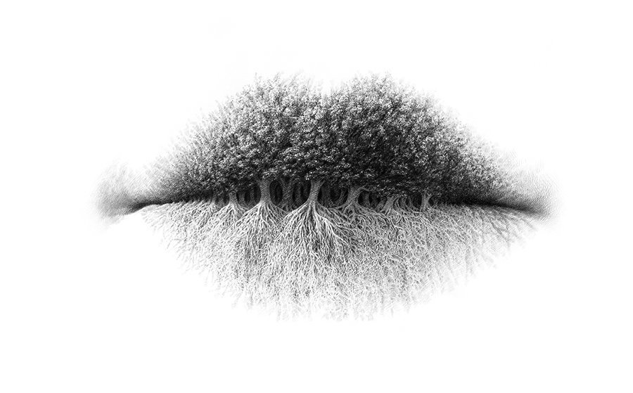 WheeBuzz's tweet photo. The One Thing You See First In This Image Reveals a Truth about Your Personality #imagerevelspersonality #personlaityimages #rootstreesandroots https://t.co/9p1RUhtFcI https://t.co/KVafvNJ6Xl