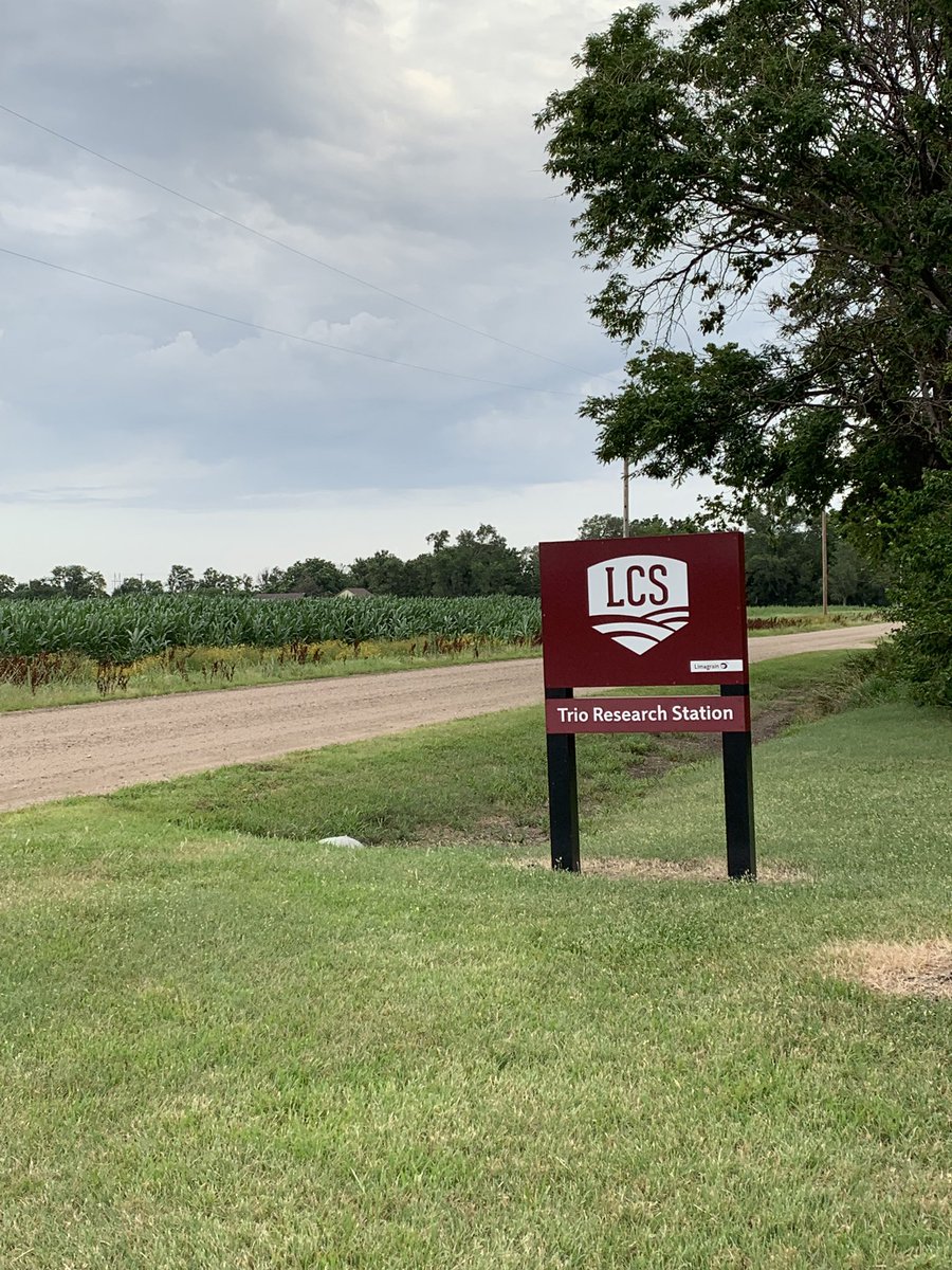 FrankWaughKAKE's tweet image. On today’s Wizard of Waugh we visit @LimagrainWheat south of Valley Center to talk about how wheat varieties are developed right here I. KAKEland! #ksag #Harvest19 #KSWheat