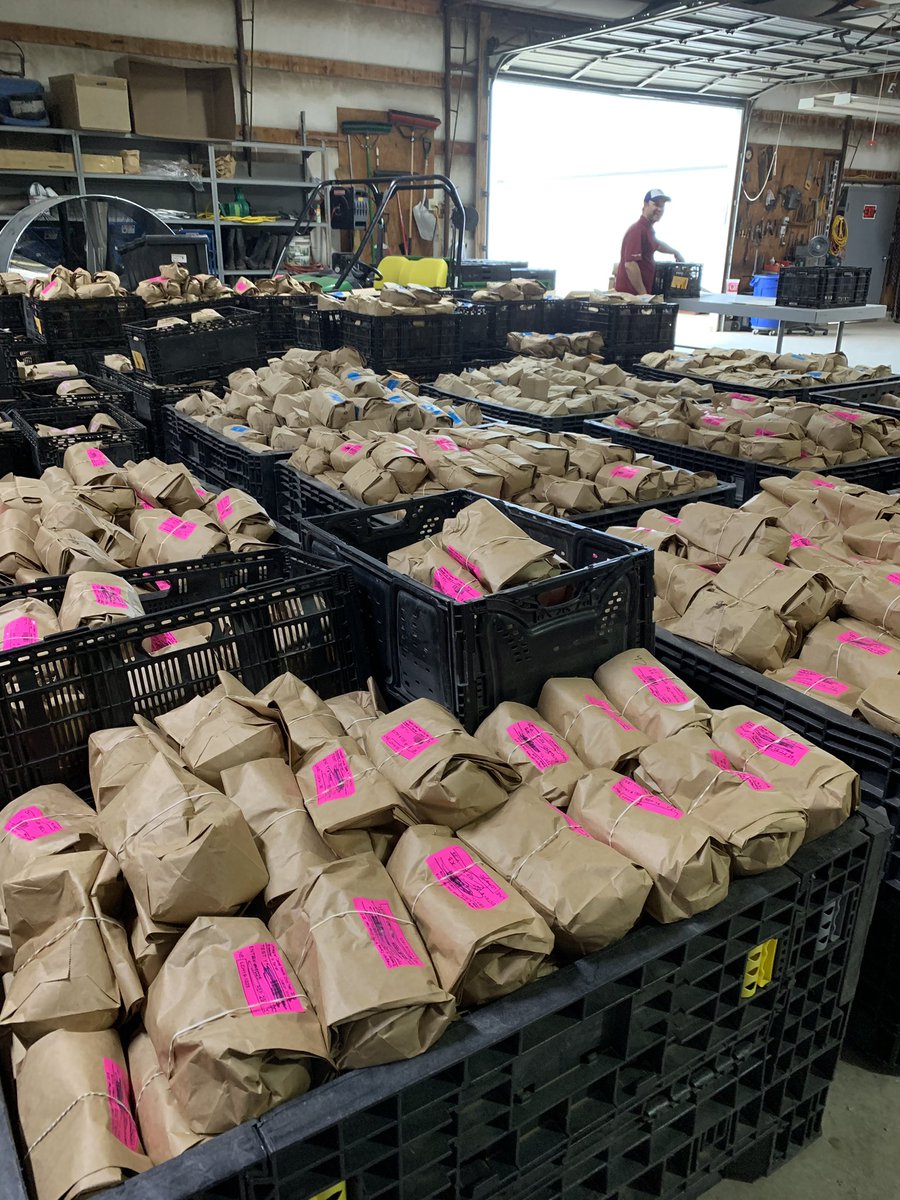 FrankWaughKAKE's tweet image. On today’s Wizard of Waugh we visit @LimagrainWheat south of Valley Center to talk about how wheat varieties are developed right here I. KAKEland! #ksag #Harvest19 #KSWheat