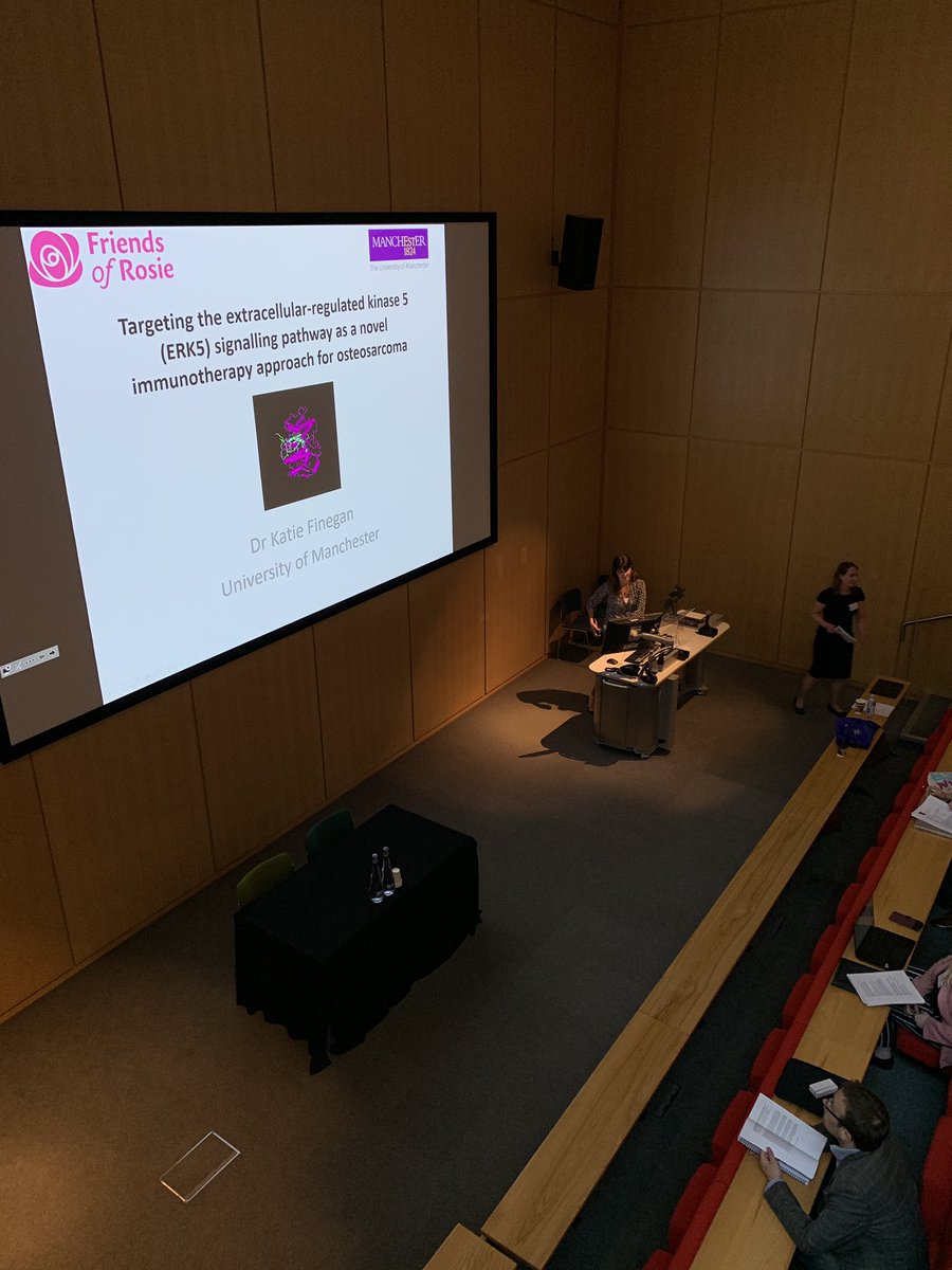 ProfAllieG's tweet image. Dr Katie Finegan presenting her labs work on ERK5 signalling in #osteosarcoma @FriendsofRosie #bacrtme @tmebacrnotts @TheBACR