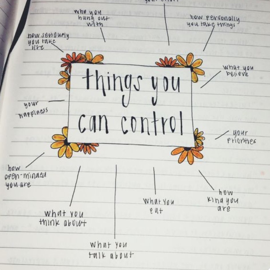 Rebekah Radice tweet media