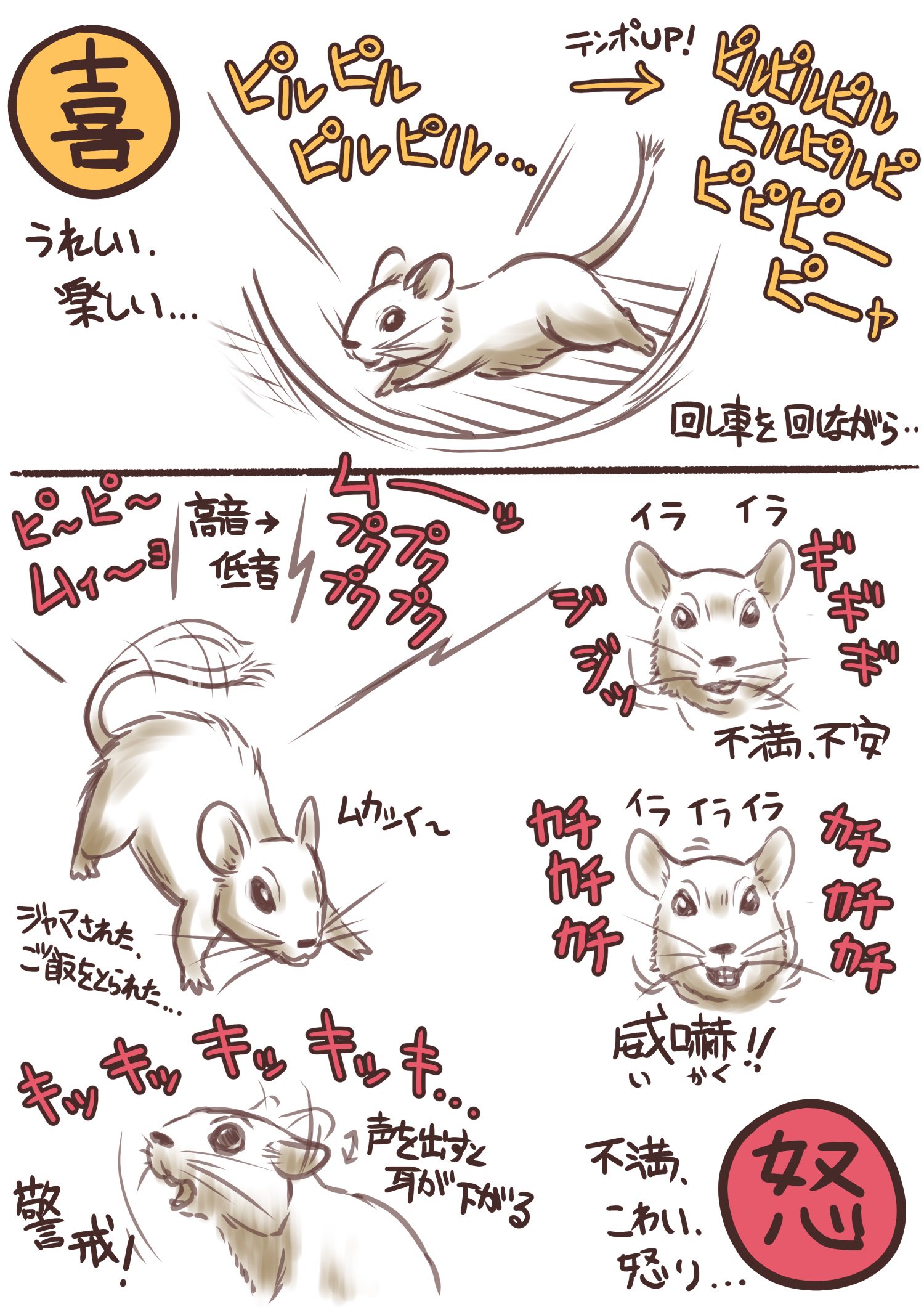 Mugi ぎんのすけ Auf Twitter デグーの言葉一覧 ぎんのすけver 昔 も一度描きましたが色々バリエーションも増えたしもう一度がんばって一覧にしてみました あと みなさんのうちのデグーさんはどんな言葉を話しのでしょう デグーさんごとに違いもありそうですし