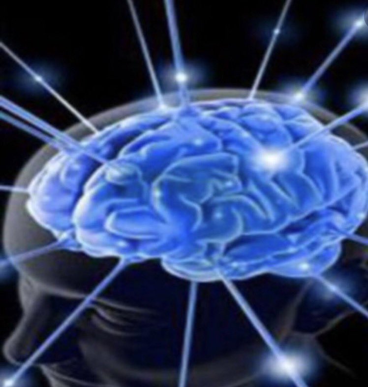 err_4e's tweet image. #هل_تعلم ان الدماغ البشري يحتاج الى ١٠٠٠ لتر من الدم يوميا ليستطيع القيام بعمله؟