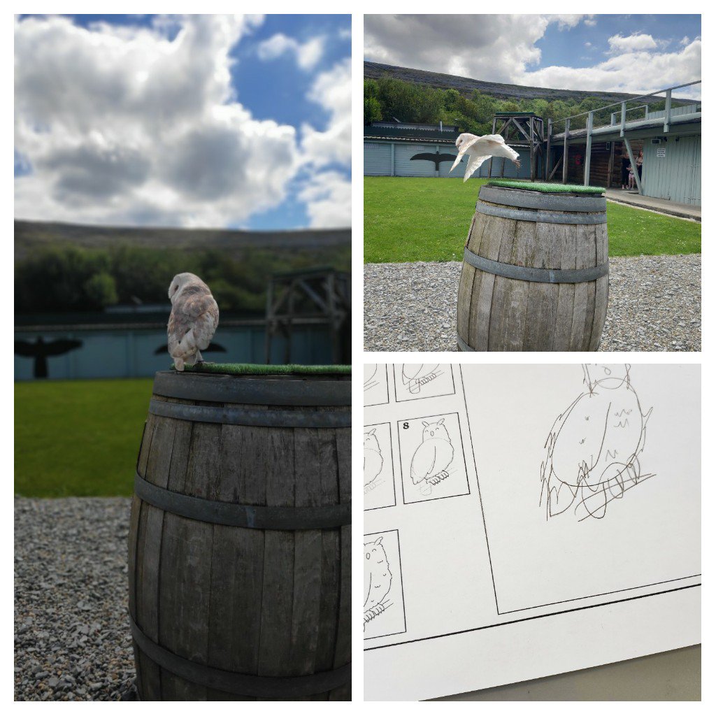 Exploring the beautiful Burren today😎 We visited the ancient ruins of #CorcomroeAbbey &amp; watched the amazing bird's at #burrenbirdsofprey🦅🦉😃