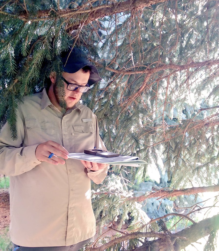 UrbanBirdNerd's tweet photo. Branden taking canopy cover data at one of our our urban nest sites. Hes an undergrad interested in how tree density affects nesting success in urban/non-urban habitats! AND hes currently looking at ecoevo grad programs for next year. Someone snatch him up! #firstgenSTEM #ecology https://t.co/EKFmiFwV11
