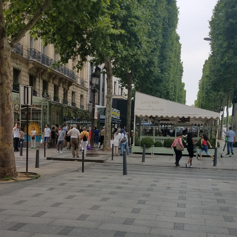 TranslationNYCO's tweet photo. Greetings from France, a country that is absolutely beautiful in the Summer time! Translingua's own, Nicole, is working remotely and enjoying the culture, food and beautiful sights. As the French would say, Magnifique!
#France #Paris #LanguageOfLove #French https://t.co/yFvFalYzrq