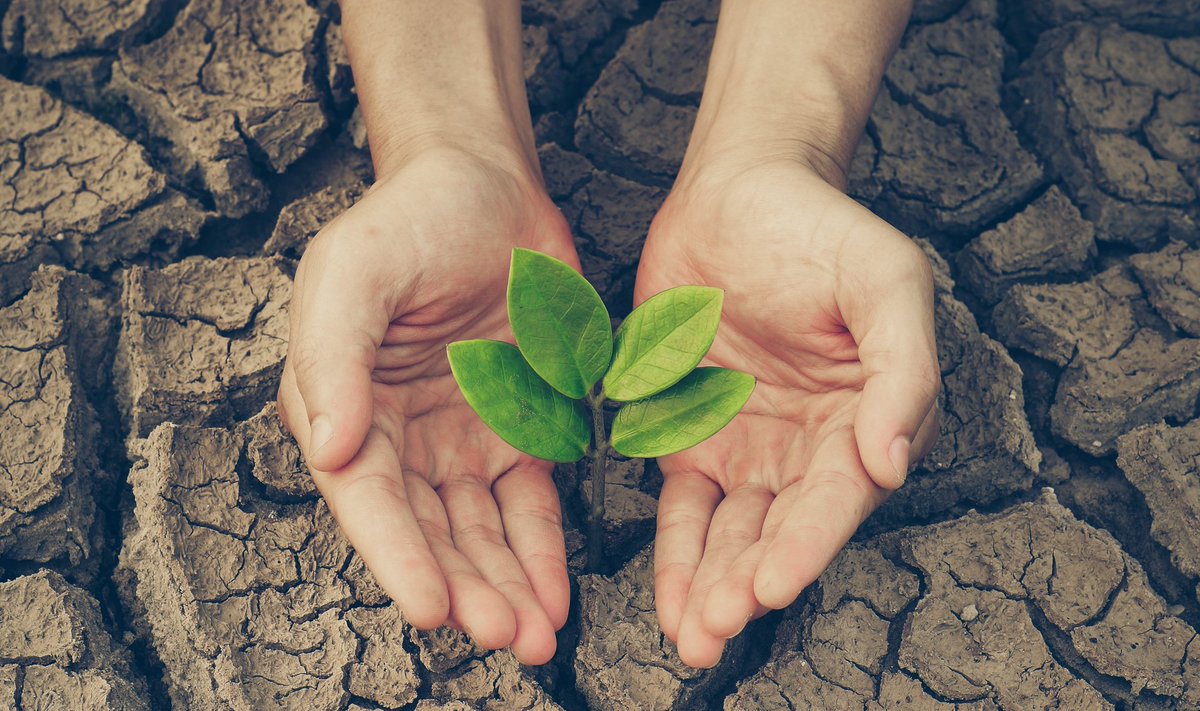 studpacas's tweet image. Now you can also benefit from the possibilities of container farming. Contact our customer service department for more information. 

Stud Pac || Vertical Farming Solution || Container Farms || Investment Program || Consultancy Services || Seminars &amp;amp; Training