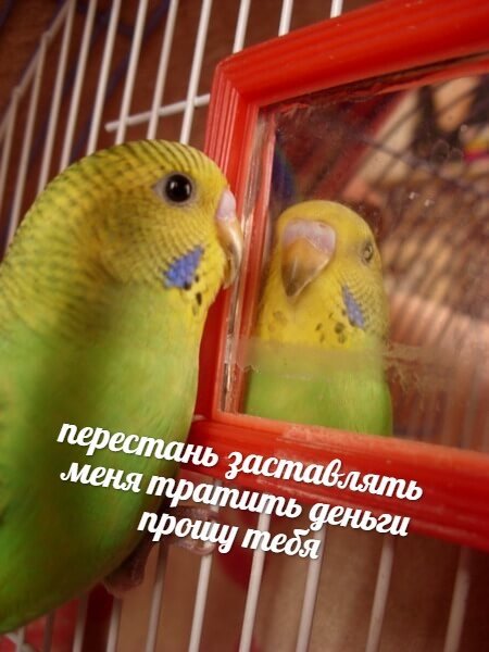 D-jpRSlXYAEtrvI?format=jpg&name=small