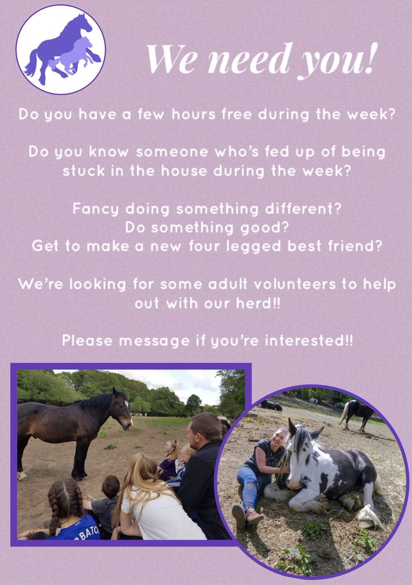 Do you know anyone who would like to come #help us out? 
We’re after adult #volunteers (18yrs +) to help out.
You’ll get to know and get hands on with our 25 strong #herd and also become part of our human herd!