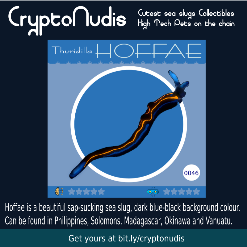 Strikingly beautiful, a sap-sucking sea slug, dark blue-black background colour. Thuridilla hoffae feeds on algae, is able to grow up to 20 mm and can be found in Philippines, Solomons, Madagascar, Okinawa and Vanuatu.

chekc it out at opensea.io/assets/0x48718…