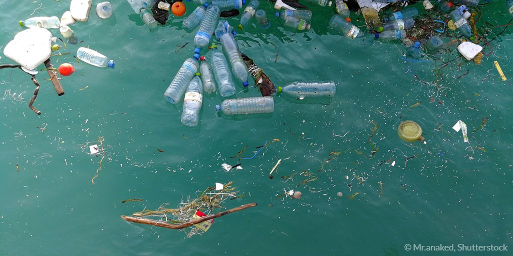 New method using #nanocoating and #LightEnergy for microplastics degradation is being developed to tackle marine plastic pollution 🌊
#EUresearch #BeatPlasticPollution #ReadyToChange 
➡️ bit.ly/2J5X9n7