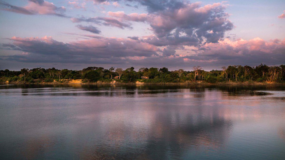 UNI Amazônia tweet media