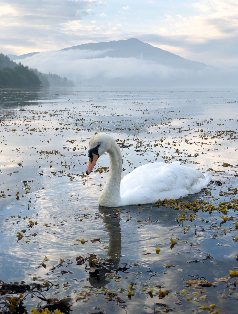Inspiration/motivation can be a struggle sometimes, but when the scenery is this beautiful I can't complain, Scotland at its best! #Scotland #ScotlandIsNow #shotoniPhone