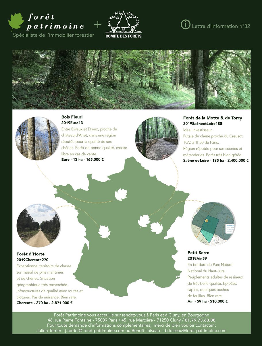 ForetPatrimoine's tweet photo. Ombrage bienfaisant en vue...
Forêt Patrimoine: Lettre d'information n°32 - https://t.co/AifbFhUOGP https://t.co/kDtkFvAmhz
