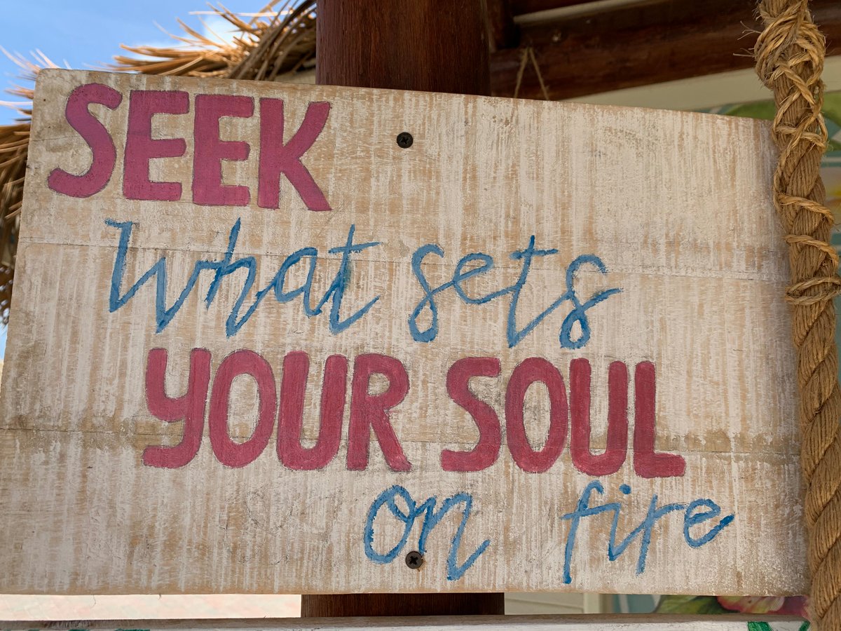 Dr Stephanie Koempel tweet media