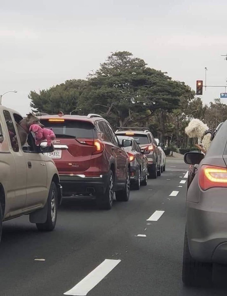 Oceanican tweet media